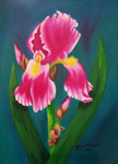 Flower art, flower artist, florals, oils flowers, Iris, Bearded Iris