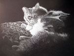 Pet portrait, cat portrait, cat rescue, pet portrait from photo, pencil portrait