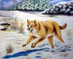 wildlife painting, wildlife portrait, cougar, cougar painting