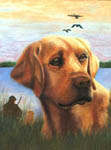 pet portrait, dog art, pastel dog, pastel pet, pastel art