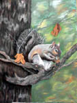 pastel portrait, pastel wildlife portrait, pastel squirrel 